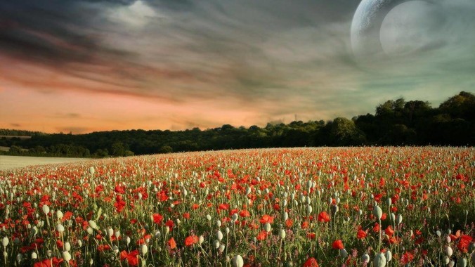 如何评价最新发布的 vivo X Fold5，作为首款「三防」折叠屏手机，都有哪些亮点值得关注？